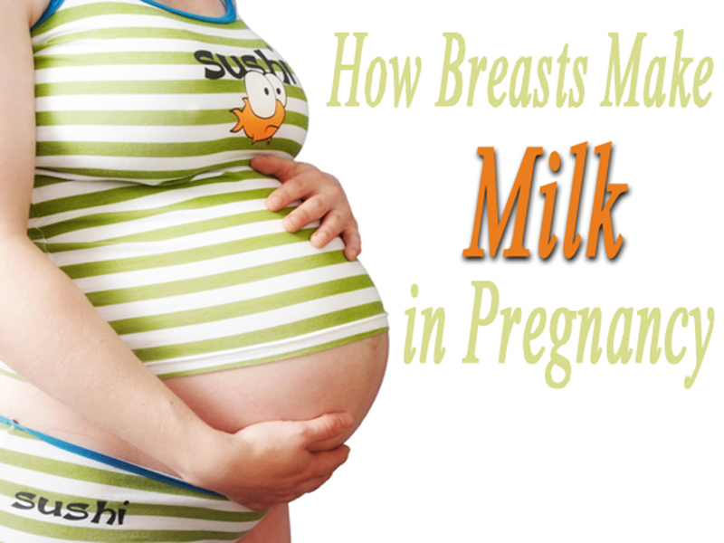 孕期母乳