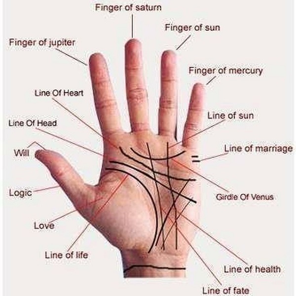 Palm Astrology